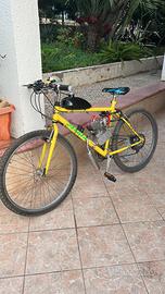 Bici a motore 100cc