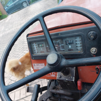 Trattore frutteto