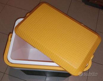 Frigorifero portatile passivo SELAP giallo/verde.