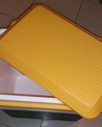 Frigorifero portatile passivo SELAP giallo/verde.