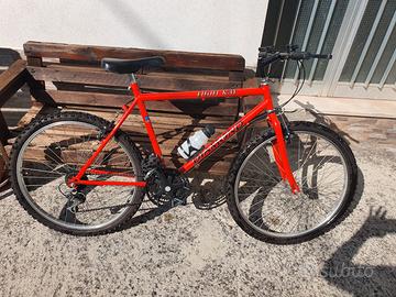bicicletta 26