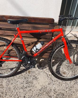 bicicletta 26