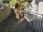 Immagine 25