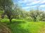 Immagine 10