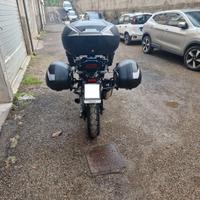 valige moto e bauletto della shad