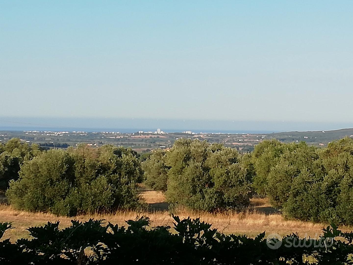 Appartamento – Massa Marittima, Grosseto - Vista 5