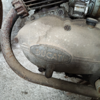 Ducati Brisk 48/1 da ristrutturare