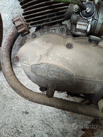 Ducati Brisk 48/1 da ristrutturare