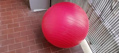 palla per fitness 