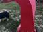 Immagine 5