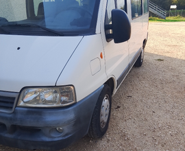 Fiat ducato 9 posti