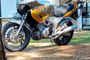 TDM 850 Grigio/Giallo