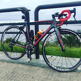 BDC Olmo Pro Link Carbon