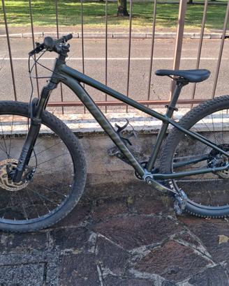 Specialized Rockhopper Comp. 2024 M 