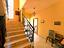 Immagine 11