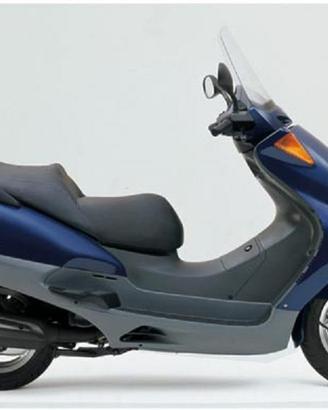 Ricambi Honda Pantheon 150