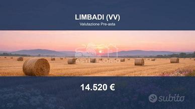 Immobile in asta di 16720 m² a Spilinga