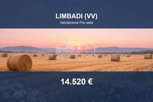 Immobile in asta di 16720 m² a Spilinga