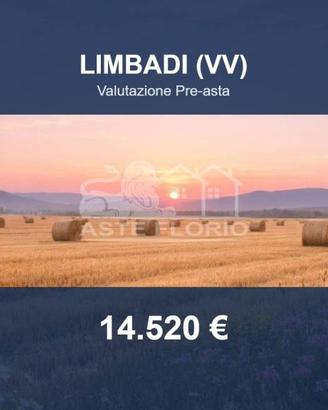 Immobile in asta di 16720 m² a Spilinga