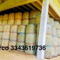 Fieno foraggio primo e secondo taglio