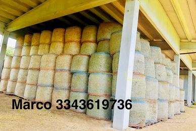 Fieno foraggio primo e secondo taglio