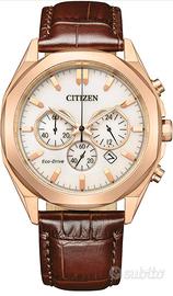 Orologio Citizen Watch CA4593-15A, cint. Marrone