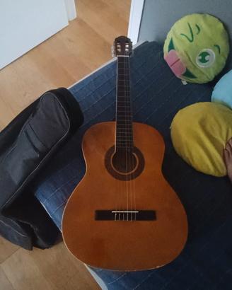 chitarra eko acustica 