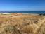 Immagine 7