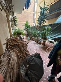 V/1323 Ammezzato con spazio esterno