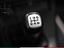 Immagine 13
