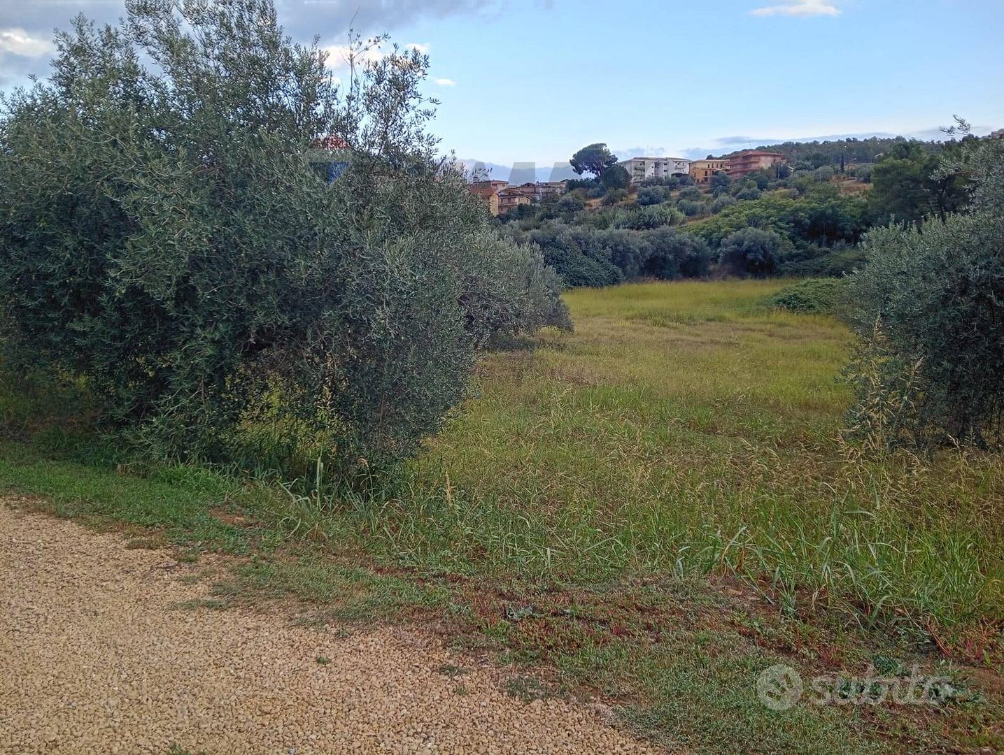 Terreno Edificabile - Mirabella Imbaccari - Altro