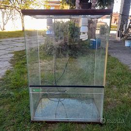 teca in vetro rettili