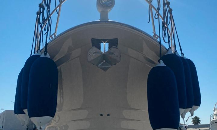 Regal 4260 Commodore LINEA D'ASSE