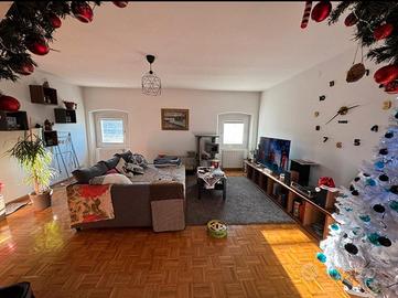 Bicamere biservizi - palmanova