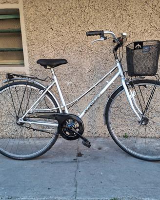 donna ragazza 28 con cestino pronta all'uso 