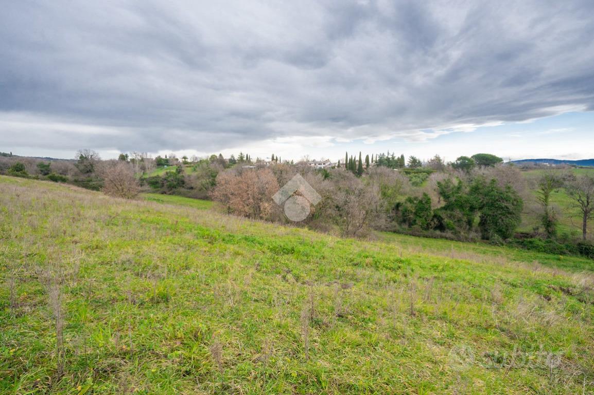TER. AGRICOLO A SACROFANO - Vista 2