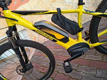 bile elettrica Lombardo 