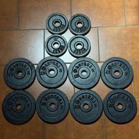 Dischi / Pesi in ghisa 1.25kg e 2kg