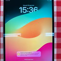 Ipad Pro 10.5” Cellulare - RETINA 120Hz - 99 cicli