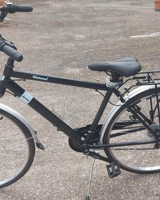 Bicicletta da passeggio