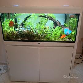 Acquario da 200 litri completo di tutto