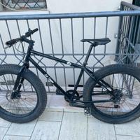 Bicicletta da sabbia e neve