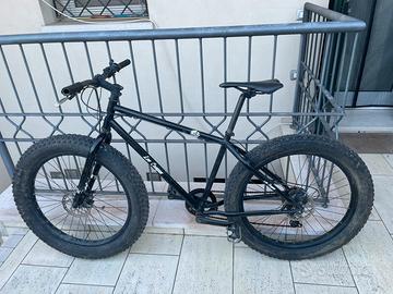 Bicicletta da sabbia e neve