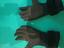 Immagine 2