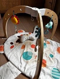 Palestrina neonato Orso polare Hape città del sole