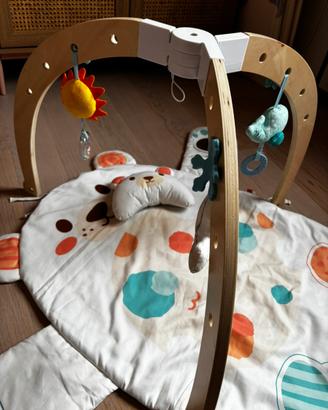 Palestrina neonato Orso polare Hape città del sole