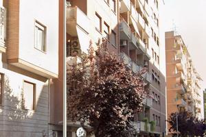 Negozio Roma [Rizzo localeVCG]