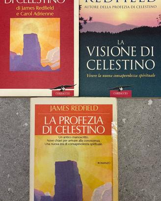 Redfield James /  Profezia di Celestino