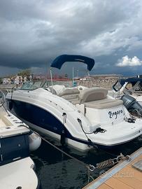 Chaparral Signature 820