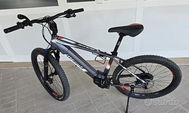 Ebike Whistle B Race  SL